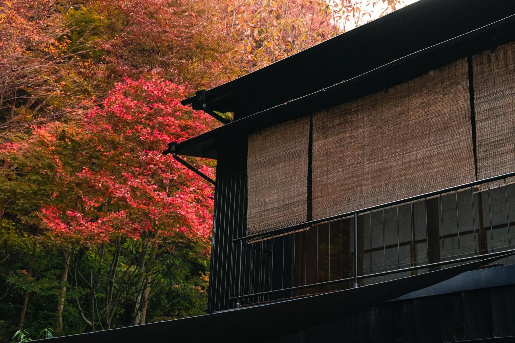 Villa Mysa Hakone Extérieur photo